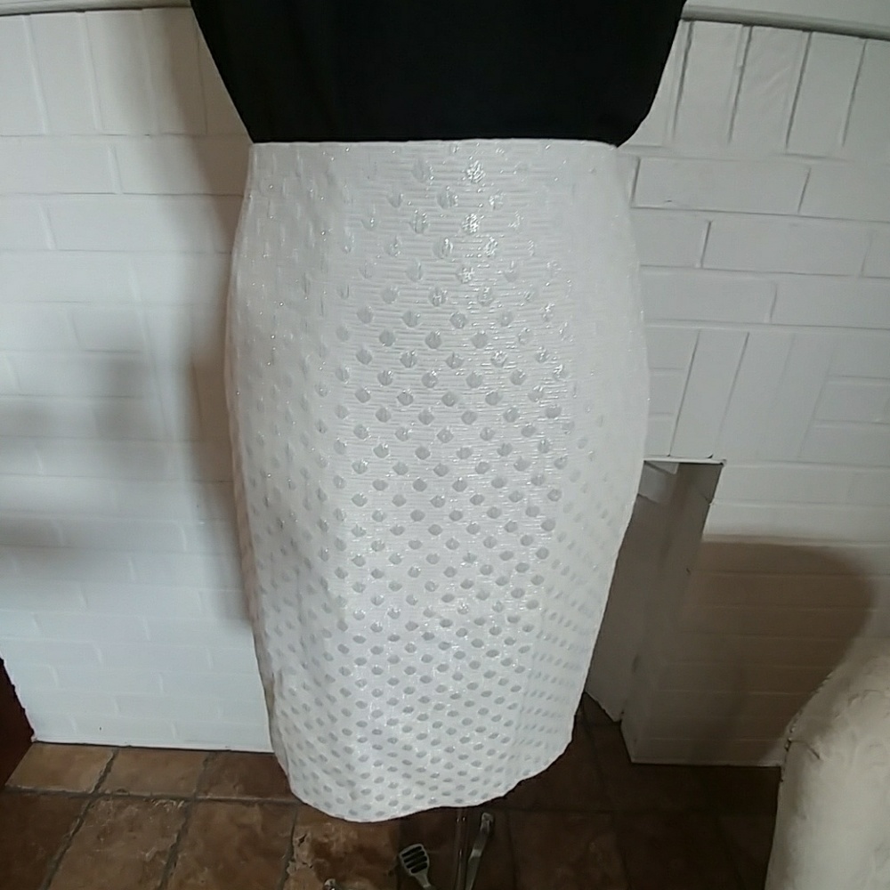 Metallic Ann Taylor Skirt
